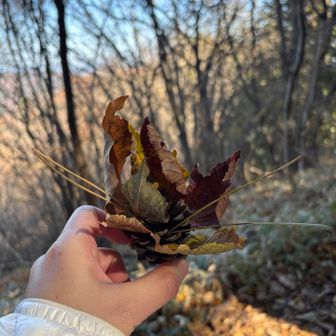 お湯を入れて只今15分待ちです！
松ぼっくりをベースにしたクリスマスツリーです🎄Francfrancに置いてありそうですね🤭
しげに、いらねって言われました😌