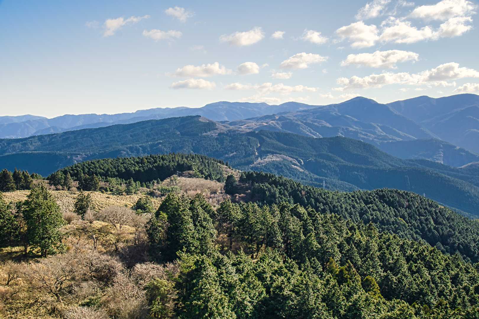 大曲茶屋バス停-伽藍山-古稀山-達磨山-金冠山 縦走コースの写真