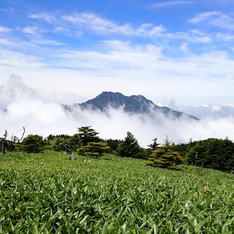 最後にもう一度、石鎚山が姿を現してくれました。