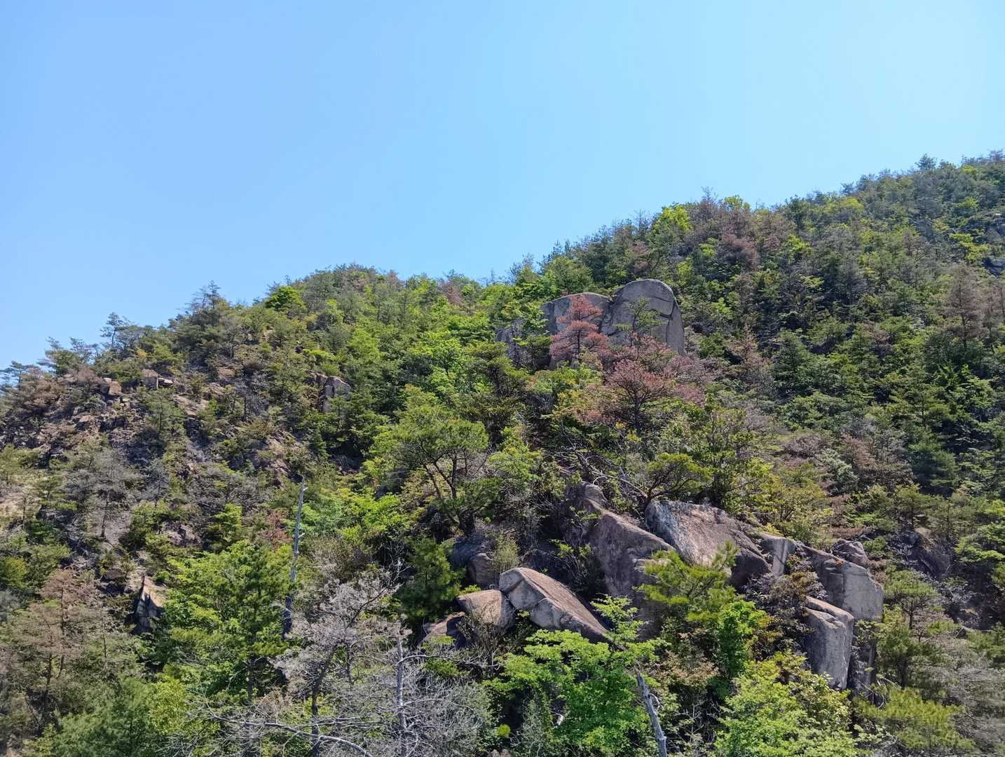天応駅-烏帽子岩山 往復コースの写真