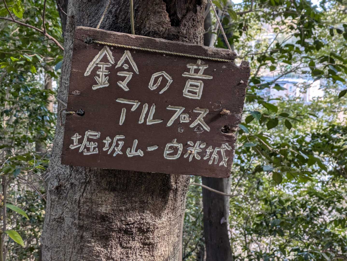 桝形山-鉢ヶ峰 往復コースの写真