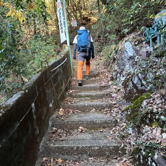 階段地獄はじまりはじまり〜

息も切れ切れで、写真無しゾーン🤣