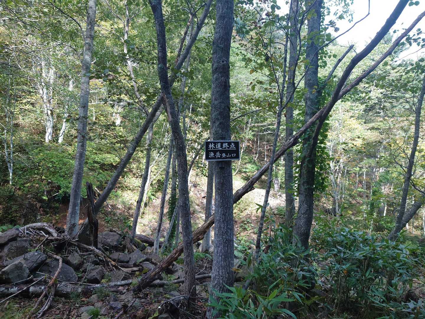 この看板初めて見ました😳