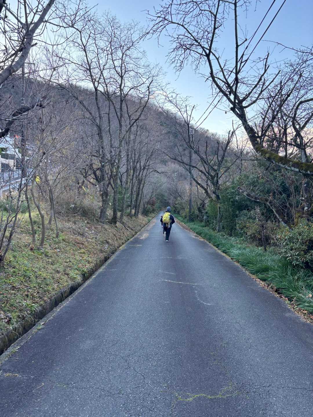 いきなり走るJくん🤣

体力有り余っ待てるみたい(笑)