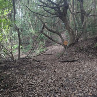 ここが登山道入り口
わかりにくい
