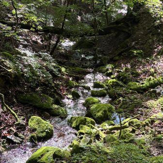 沢あたりも気持ちよく歩き🚶