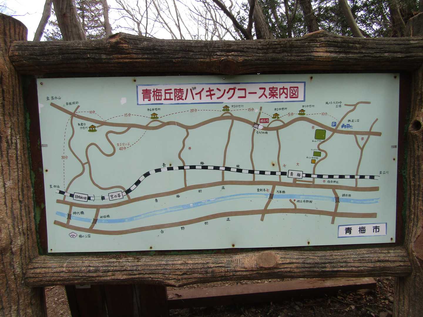 バイキングコース？(笑)