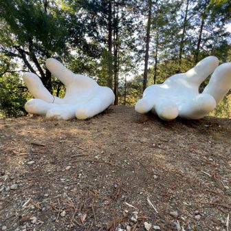 毎回これ見るとミッキーの手に見えるですがw

今ネットで検索🔍しましたらミッキーマウスって…指４本しか無かったですか🙀
たった今知って衝撃を受ける🙈🙈🙈
学校の教科書に書いてありませんでしたやん😇