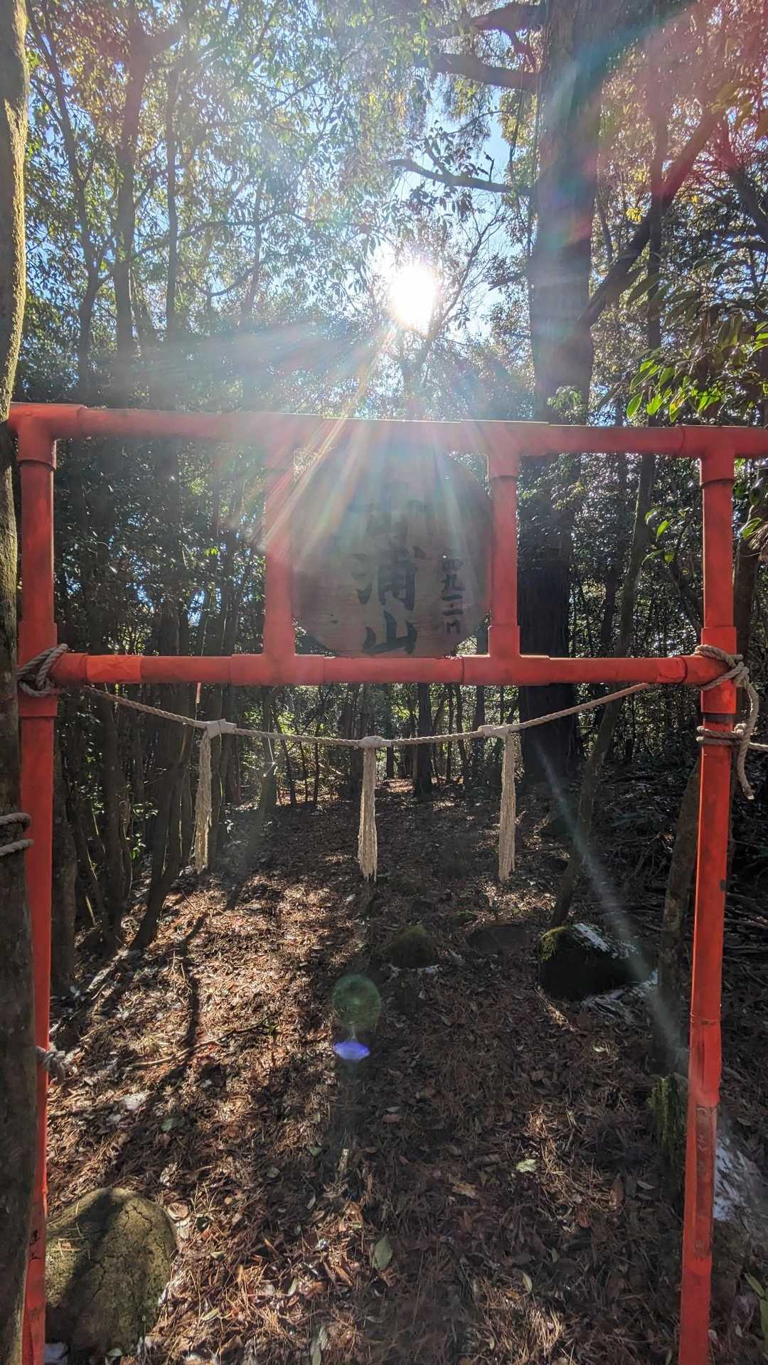 おっと、岳浦山〜
初めまして😊
月日峠山まで、どうするか
ちょっと２人で考え
16時にここまで、戻ってきたら
17時半前下山
月日峠山から林道〜車道経由も最悪できるから
車道なら薄暗くなっても
良し、行こうと話しは決まり
決まったなら、さあ、行かねば