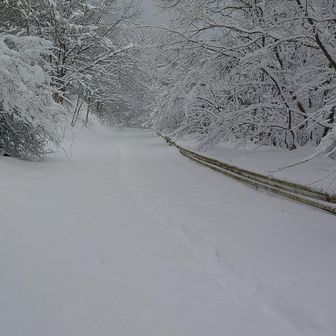 林道まで来ました。このあたりからスノーシュー装着🤩