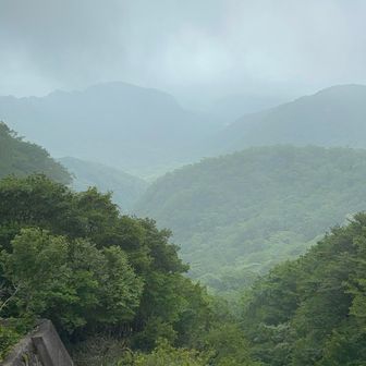 入ってみればなんてことなかったです☺️