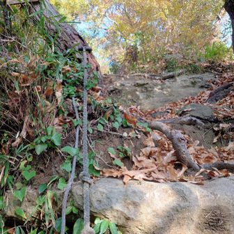 標高が低いお山なので、以前行った横須賀の、駅から3分⛰️みたいに楽勝なお山かと勝手に思っていたら…出だしから急で落ち葉でつるスベ道でした💦