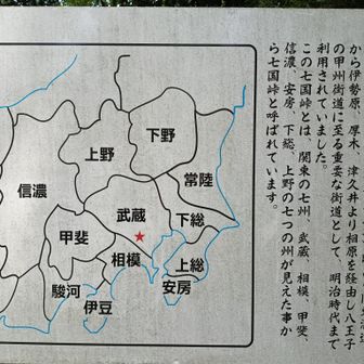 本日一座目、七国山山頂到着～♪

大日如来像があります
ベンチもあります

冬季の眺望が楽しみです