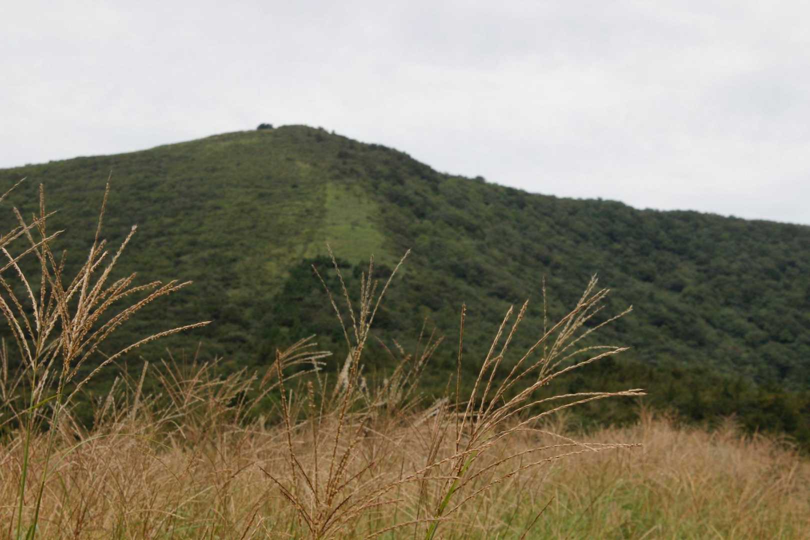 一面ススキの原🌾
秋の大平原を満喫😆