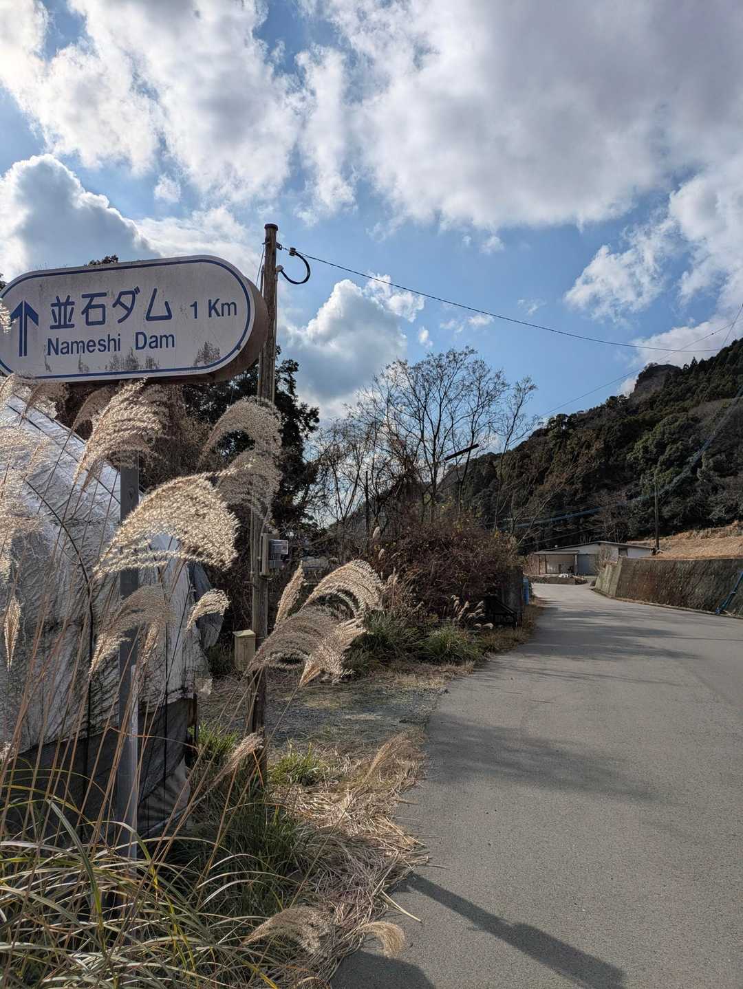 さぁ後はダムに戻るだけ
…旅の終わりが近づいてきてちょっと切ない