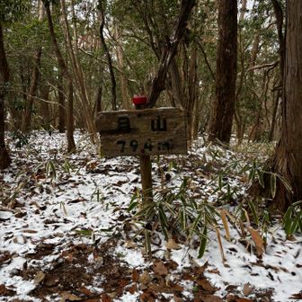 グレーピーク
月山(がっさん)