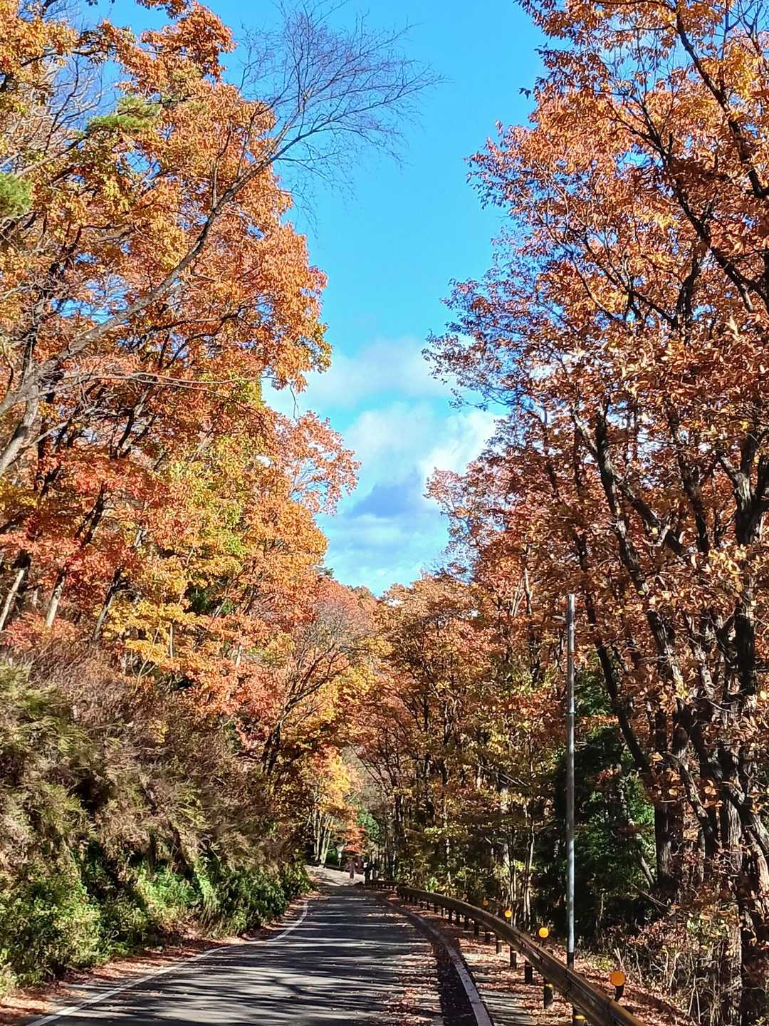 信夫山-薬王寺-月山神社-信夫山 縦走コースの写真