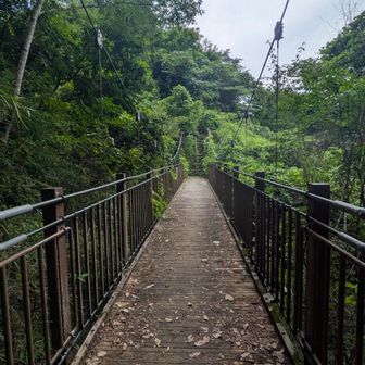 この橋を渡ったらまた登りが始まるのでした