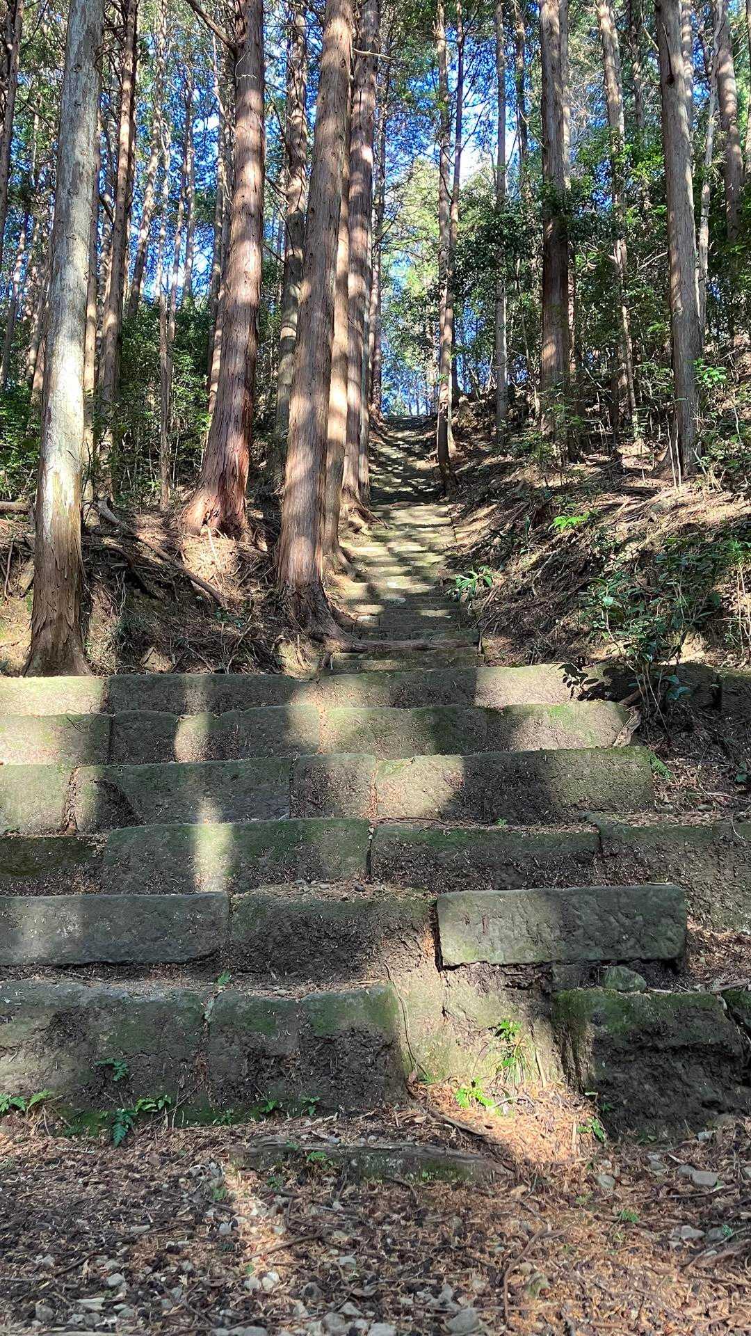 えっほっえっほっ