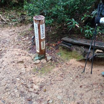 休憩所。ベンチもあります。水場があるようですがかなり下る感じ
