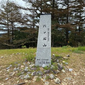 てっぺんに到着！