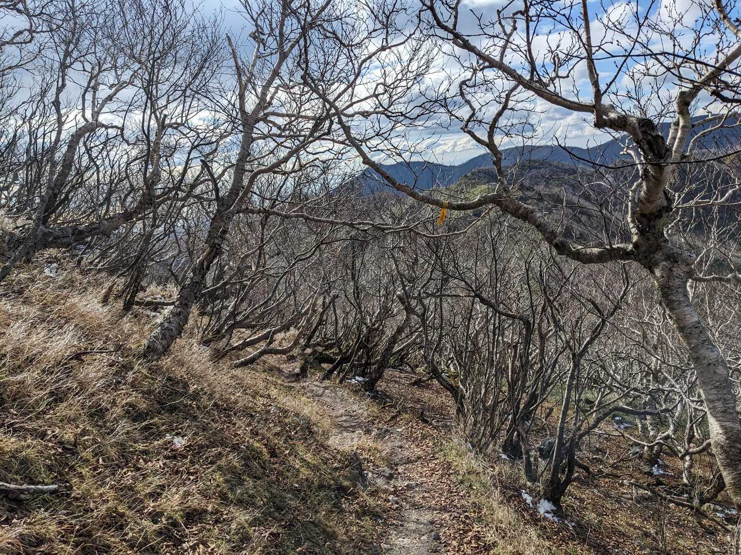 オロフレ峠-オロフレ山-カルルス山 周回コースの写真