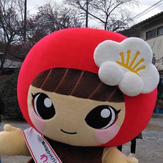 しろぶんたん🐬