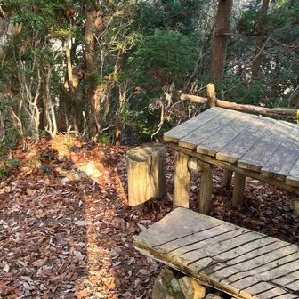 テーブルとベンチがあるだけで眺望もなんもない。これでポンポン山と共に大阪50山にカウントされているのが意味不明。