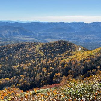 登り始めてほどなく後ろを振り返れば一面の紅葉🍁