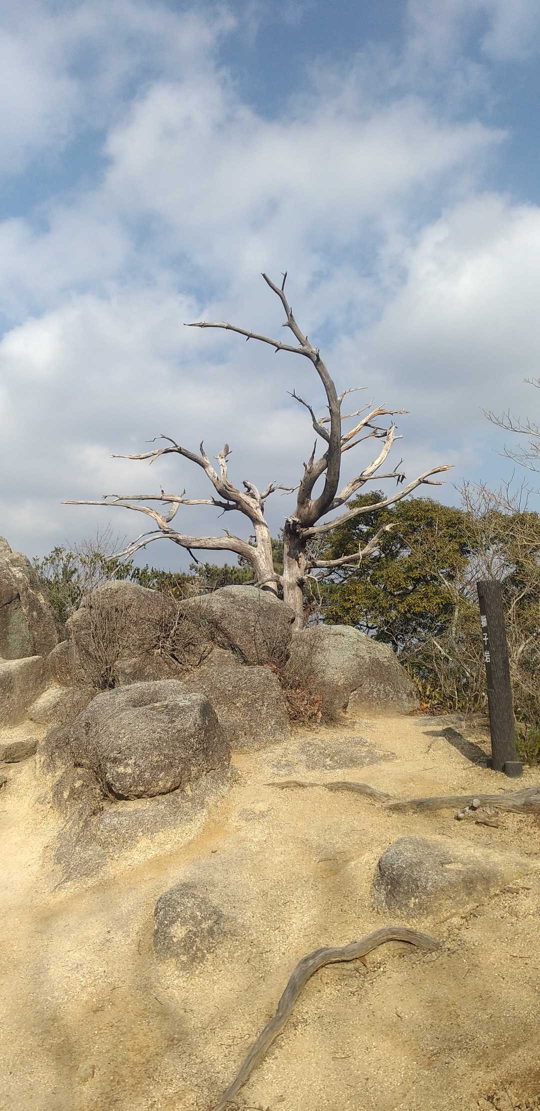 獅子岩かな
美しいー！