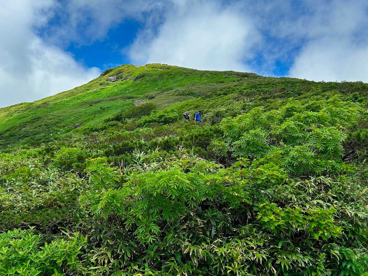 日本の名山24景 栗駒山 日本二百名山 花の百名山 東北百名山 / ヤマ爺の登山データ