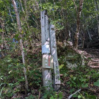 天狗峠登山口に下山。
ここから林道歩きで車に戻ります。