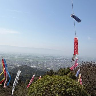 なんかノスタルジック〜🎏