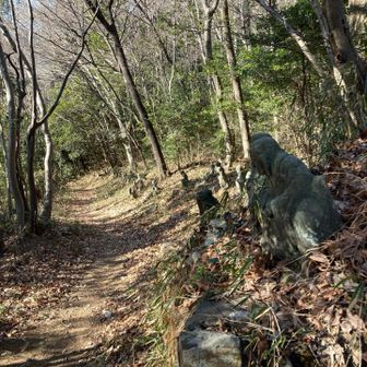 少林寺さんへの下り途中に五百羅漢さん