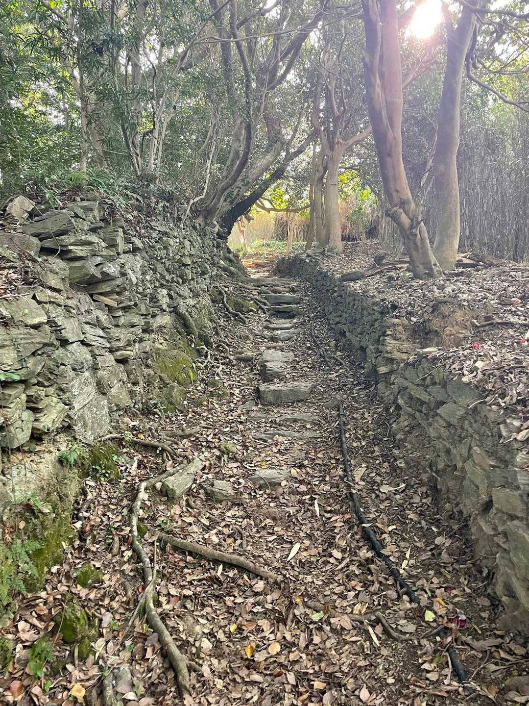 名草山 往復コースの写真