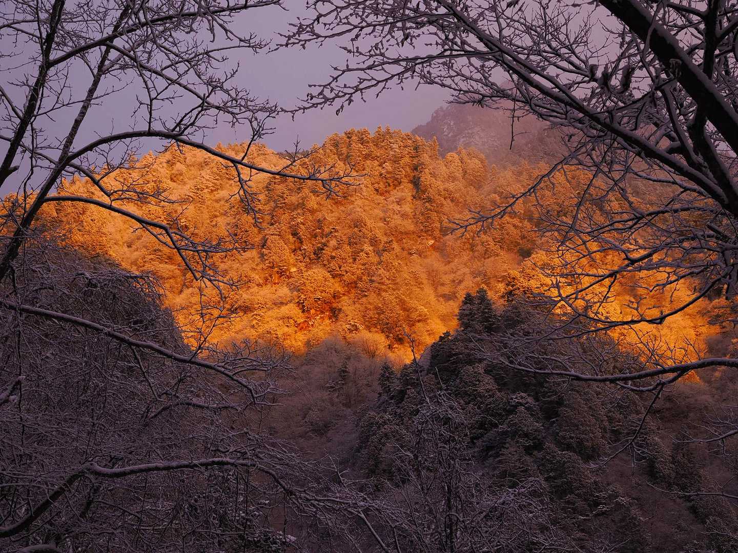 朝焼けが見えて、お天気の回復が期待できそう。