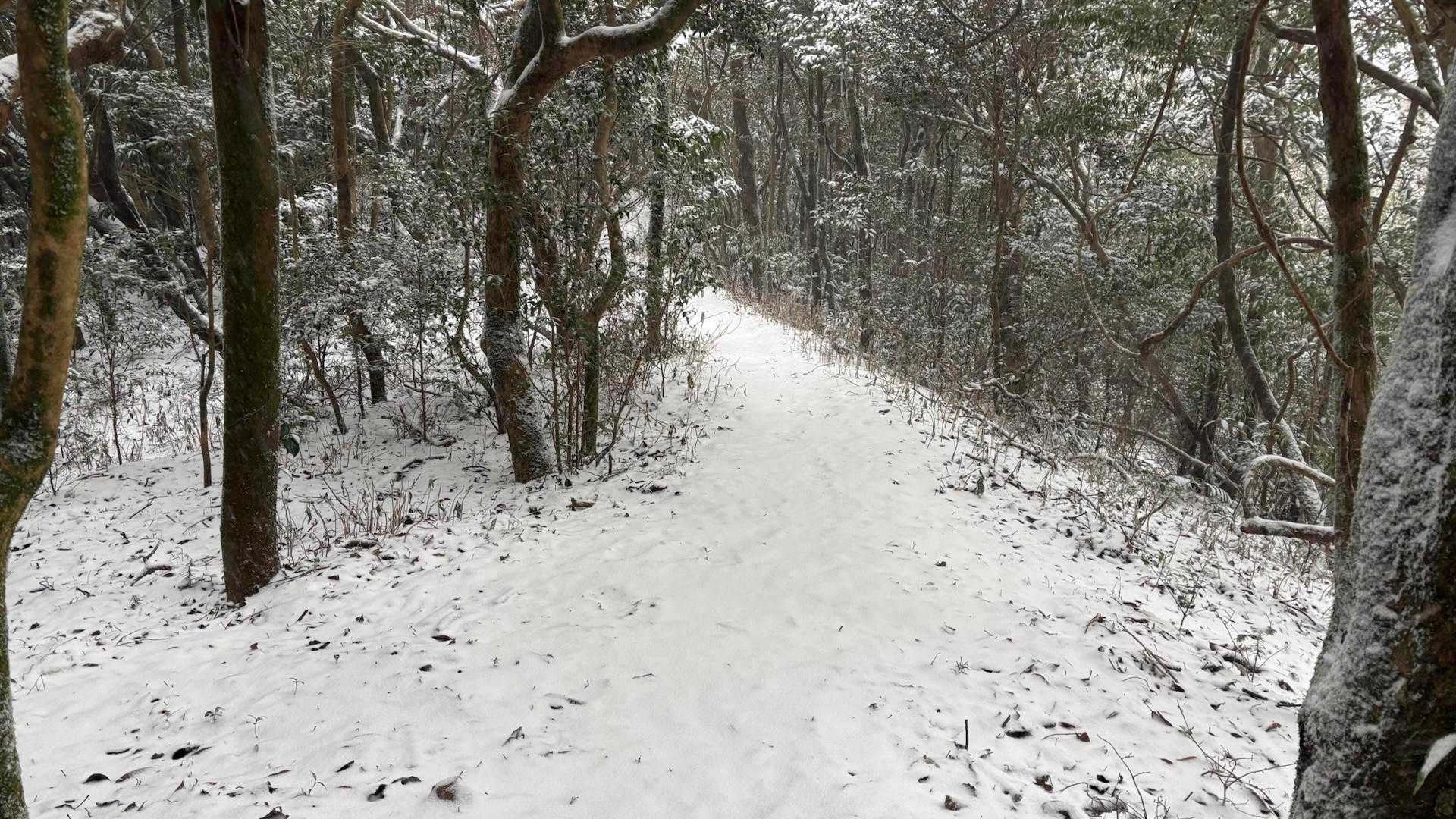 平地は雪ではなかった…
