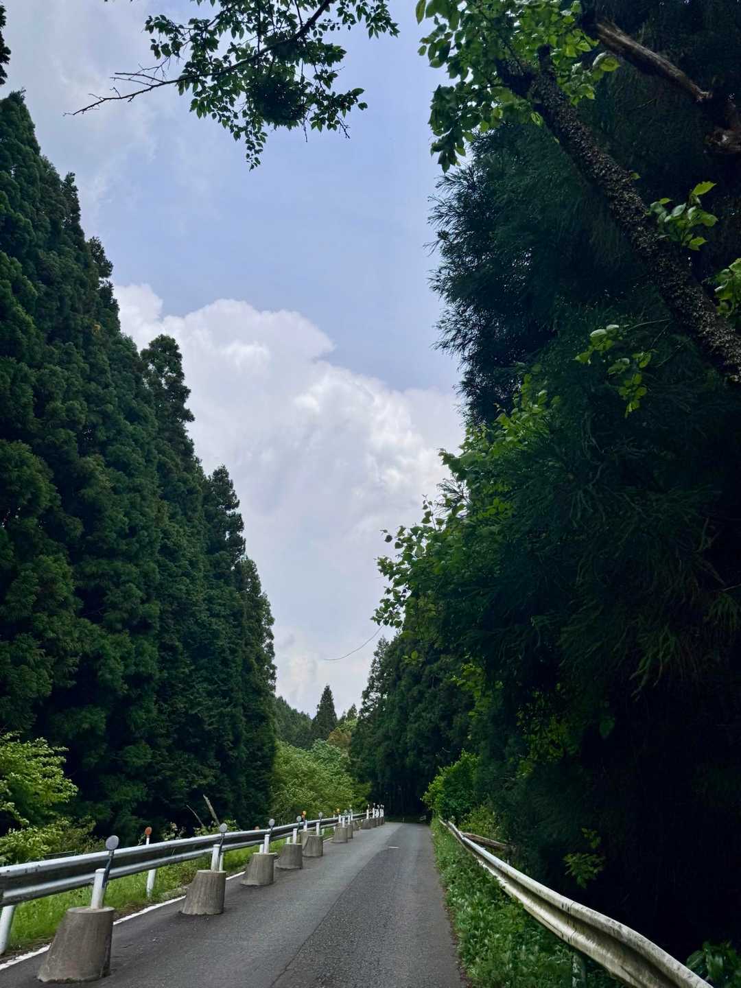 
🥺
まだ遠くでゴロゴロ⚡️
