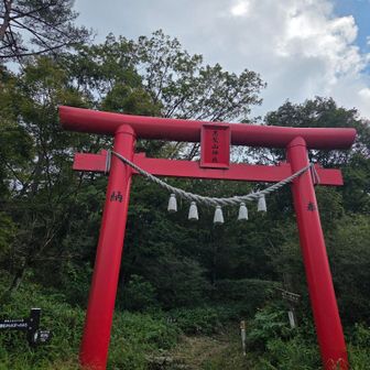 １度待ち合わせした駐車場🅿️に戻り…小休止してから…
お目当てのレンゲショウマを愛でに👀リスタートです🐢。