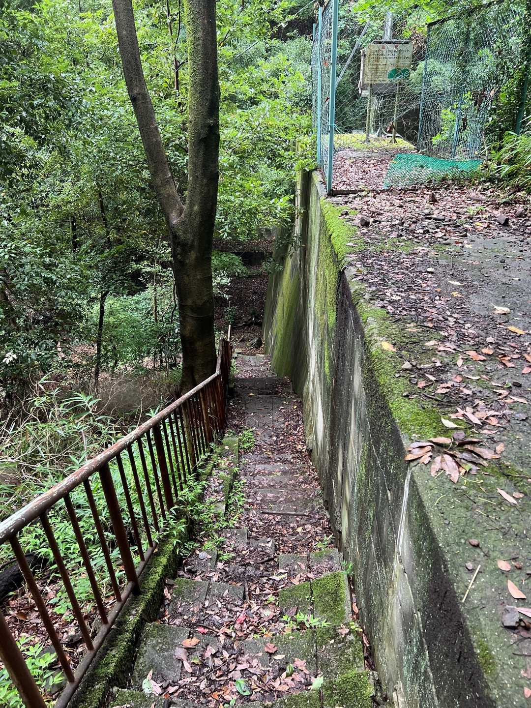 漸く安心して歩ける道になったよー😮‍💨