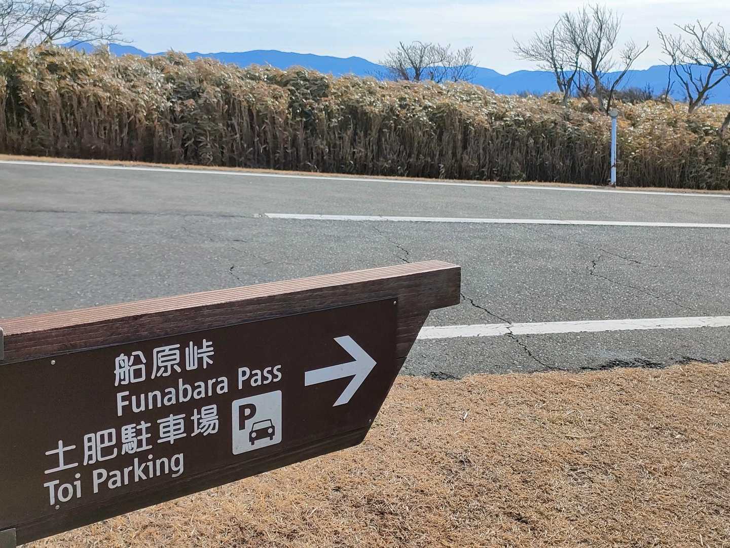 また舗装路に出てあるく様ですね...😯