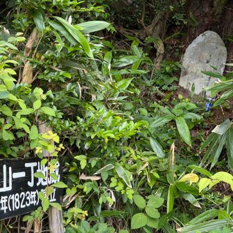 一丁地蔵さまにご挨拶…。