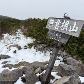 無意根、相性悪し〜🫥
また快晴の冬にリベンジしよーー⛄️