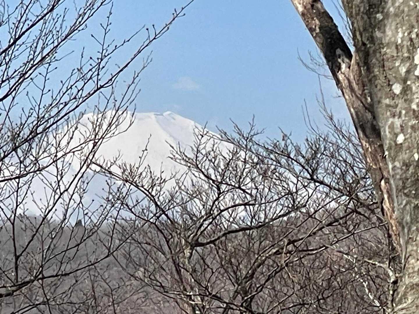 富士山は期待していなかったので出逢えて嬉しい♪🗻✨