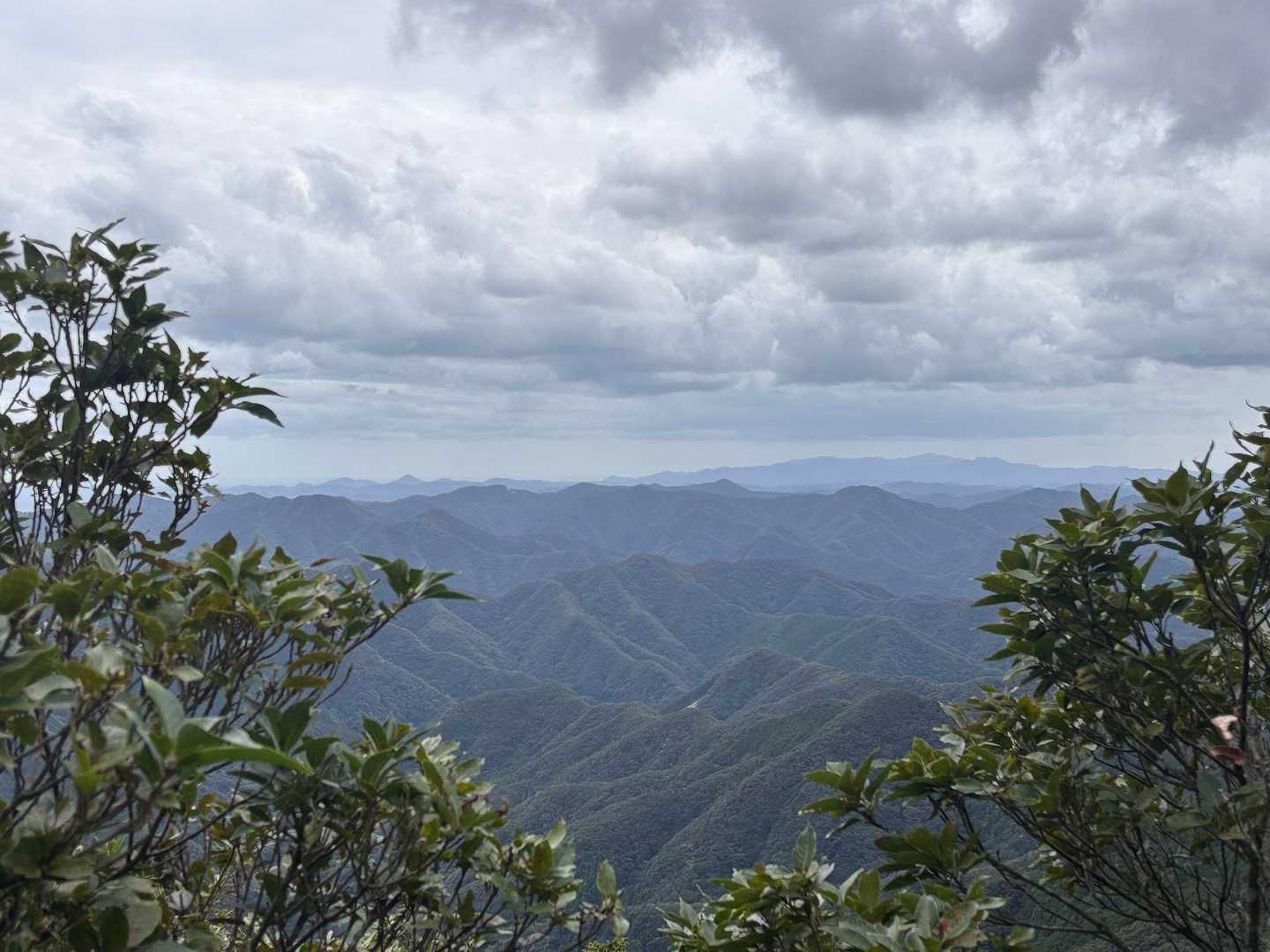 山頂からの眺め