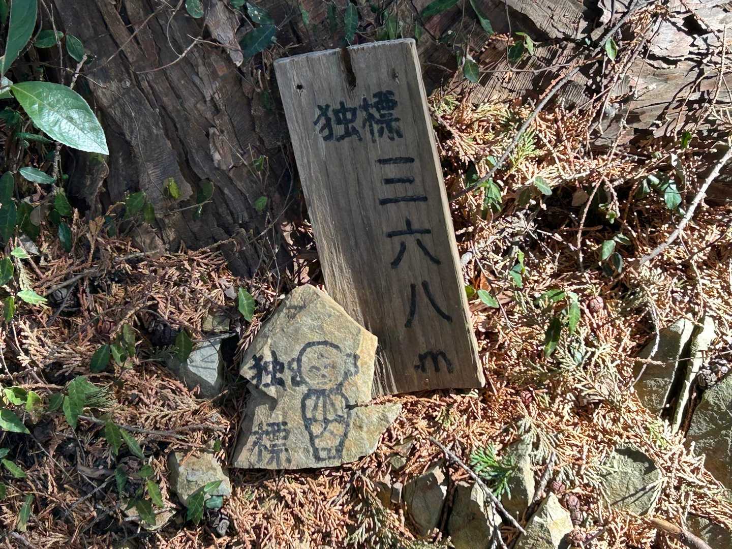 天守閣跡-北高尾富士見台 往復コースの写真
