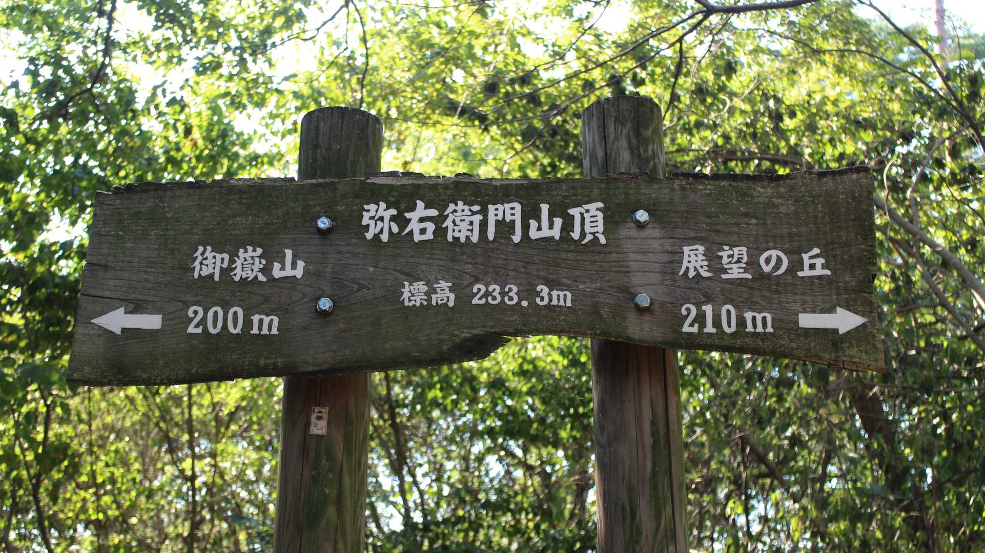 いつもよりも3倍長く感じました😅