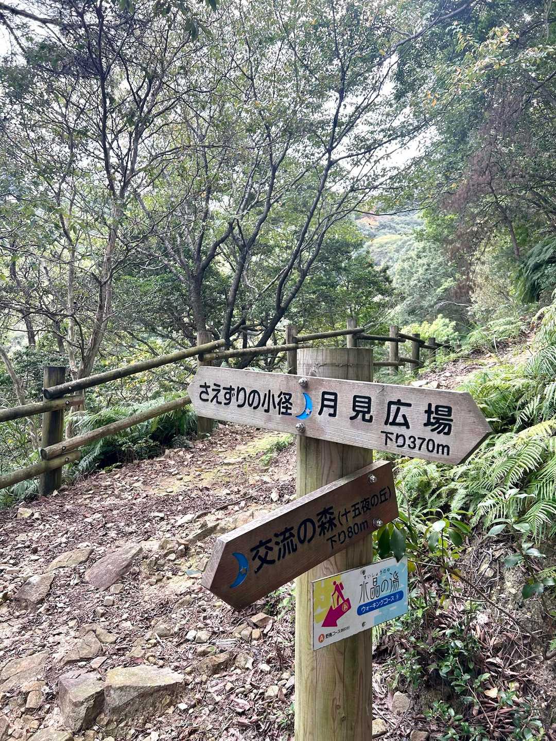 羽沢 往復コースの写真