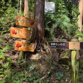 色々別れるが、男坂へ