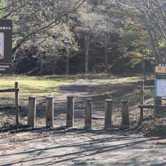 馬返しから歩きます🚶